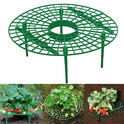 5/10pcs Green Strawberry Planting Rack with 3 Sturdy Stands Versatile Plant for Berries and Small Plants Plant Stand