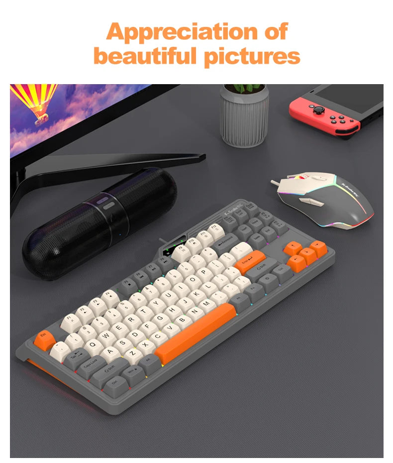 Wired Keyboard and Mouse Set，19-Key Rollover，Office/Gaming Compatible with Desktops and Laptops