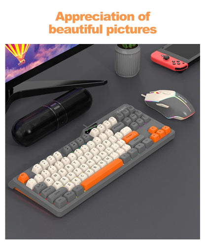Wired Keyboard and Mouse Set，19-Key Rollover，Office/Gaming Compatible with Desktops and Laptops