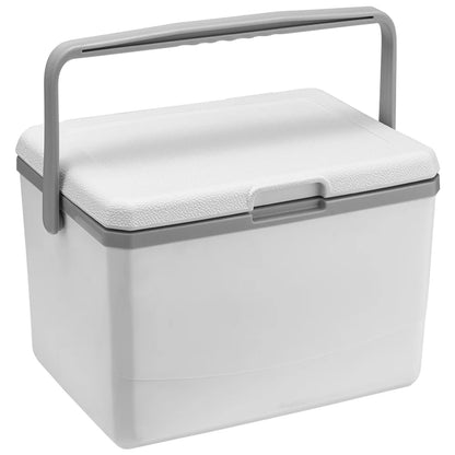 Portable Refrigerator 5L Mini Fridge Car Cooler with Handle Insulated Camping Freezer Compact Outdoor Storage Box for Road Trip