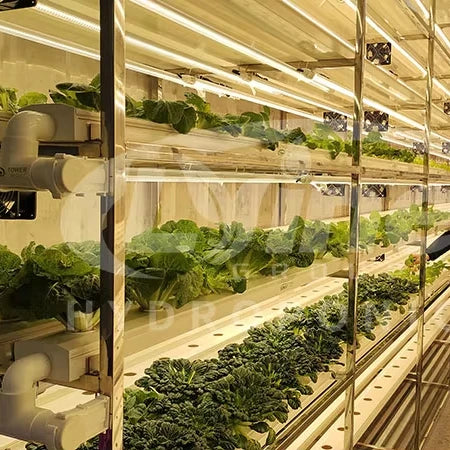 OEM Nft Hydroponics Nft Channel Growing System Kits Vertical Lettuce Strawberry Agricultural NFT Growing System Plant Vegetable