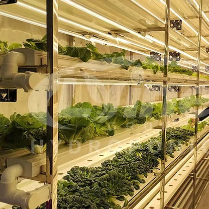 OEM Nft Hydroponics Nft Channel Growing System Kits Vertical Lettuce Strawberry Agricultural NFT Growing System Plant Vegetable