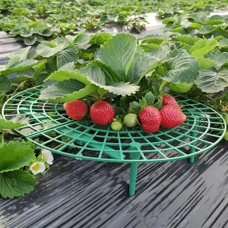 Garden Strawberry Stand Plant Support Fruits Growing Racks with 4 Sturdy Legs Growing Frame Fruit Stand