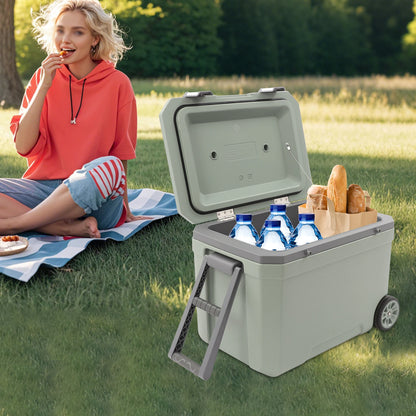 45L Insulated Wheeled Portable Cooler, Long Ice Retention Green Cooler Box, Outdoor Refrigerated Cooler for Fishing with Handle,for Boating, Camping, Travel & Picnic