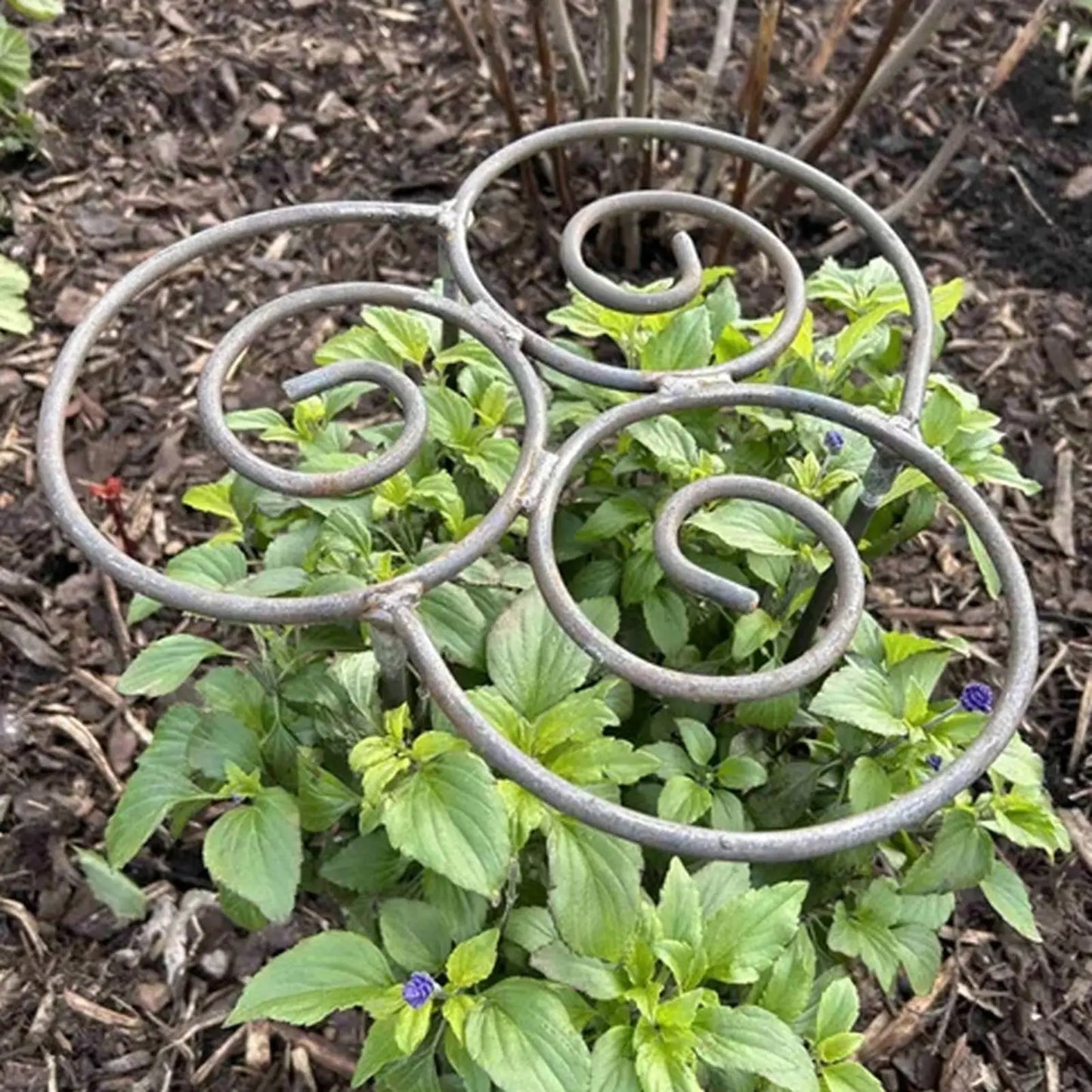 Peony Cage Heavy Duty Metal Weather-Resistant Grow Through Plant Support for Tall Heavy Flowers Peonies Roses Hydrangeas