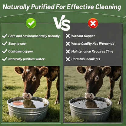 Horse drinking trough cleaner livestock drinking trough bird bathtub dual-use Animal Purification Disc 4 Inches Copper Purifier
