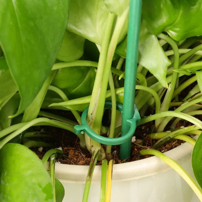 20/5PCS Plant Support Rods Adjustable Plant Stake Orchid Sticks With Clip Flowers Plants Vine Stand Holder Garden Stakes Pole