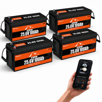 Buknuwo LiFePO4 24V/25.6V 100Ah Lithium Battery With Bluetooth Built-in 100A BMS Grade A Cells 2560Wh Power Energy Storage Battery Low-Temp Protection Capable Of Over 10000 Cycles Support Parallel Battery For Solar,RV,Marine,