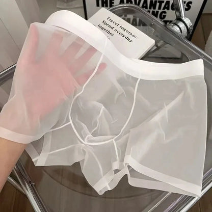 N2025 Ultra Thin Ice Silk Boxers Underwear Men Semi-transparent Seamless Sexy Male Trunk Shorts Plus Size M-XXL