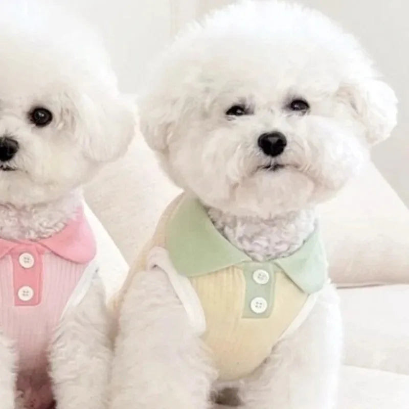 Small Dog Shirt | Spring & Summer Pet Apparel | Casual Wear for Small Dogs