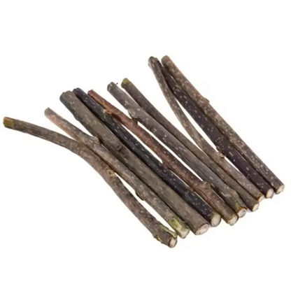 Silvervine Sticks for Cats - Natural Teeth Cleaning Chew Toys, Kitten Teething Training, Catnip Cat Teaser, Pet Supplies