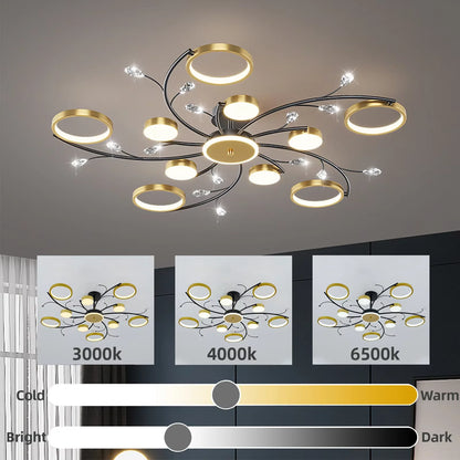 IRALAN Modern LED Chandeliert round chandelier Living room  lights smart remote control chandelier  room Interior Kitchen light