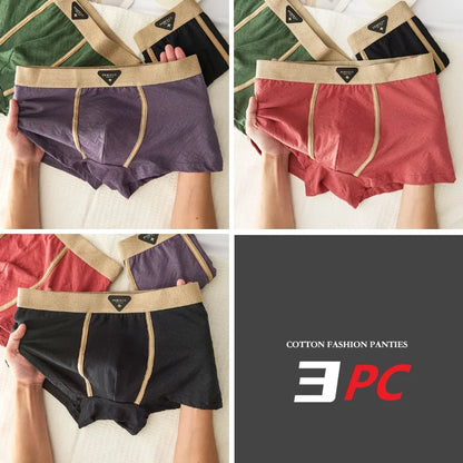 3PC 100% Cotton Men's Underwear Autumn Winter New 10A Antibacterial BoxerShorts Loose Comfortable Men's Quadrangle Underpants