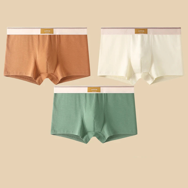 3Pcs Men's Underwear Hombre Panties Boxershorts Comfortable Breathable Cotton Underwear Sexy Underwear Solid Color Boxer Shorts