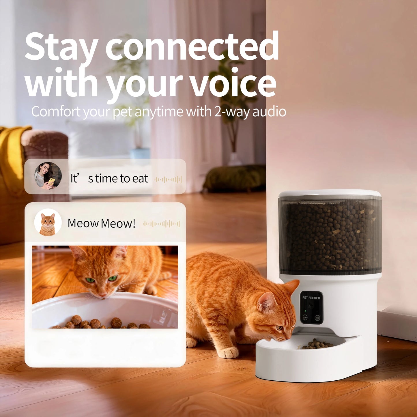 4L Smart Pet Feeder Automatic Cat Food Dispenser Cat Dog Bowl Automatic Cat Feeder Dog Slow Food Machine With Timed Quantitative