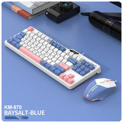 Wired Keyboard and Mouse Set，19-Key Rollover，Office/Gaming Compatible with Desktops and Laptops