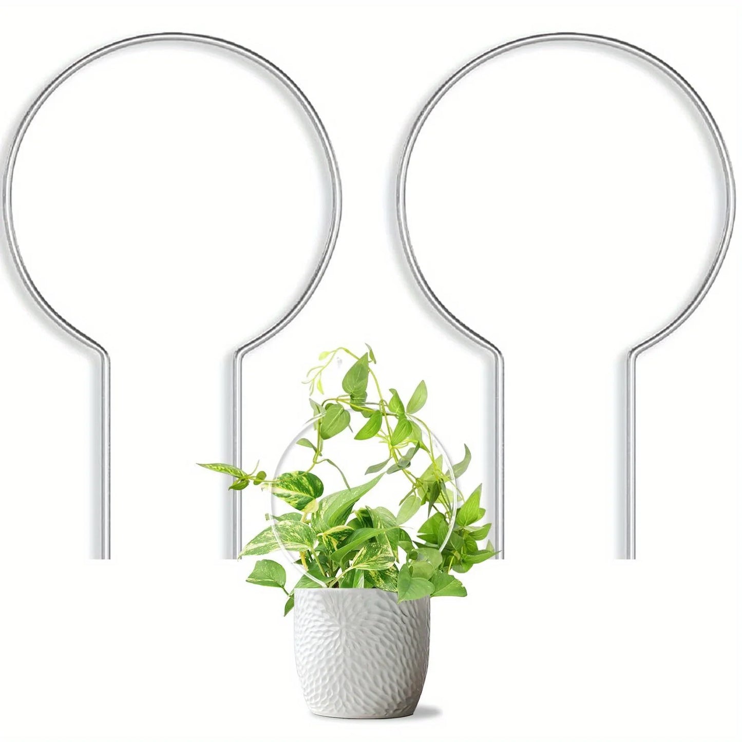 Round transparent acrylic plant stand, suitable for indoor and outdoor use, suitable for small climbing plants, etc.