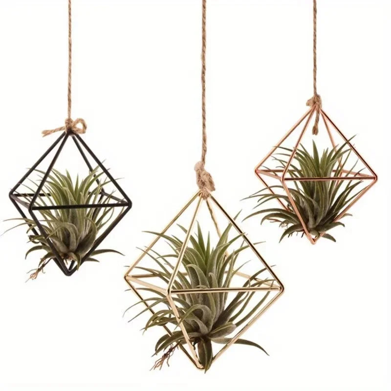 4 Air Plant Stands, Hanging Metal Geometric Stands, Plant Garden Stands, Suitable for Indoor Decoration, Holiday Displays