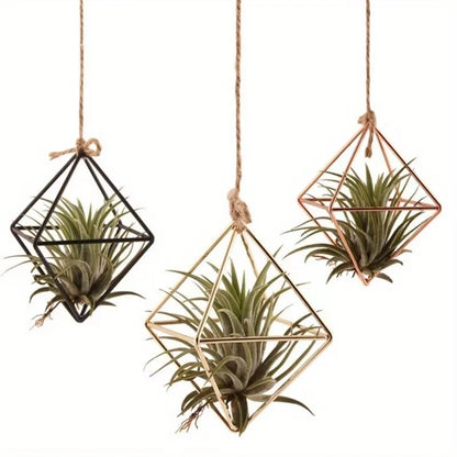 4 Air Plant Stands, Hanging Metal Geometric Stands, Plant Garden Stands, Suitable for Indoor Decoration, Holiday Displays