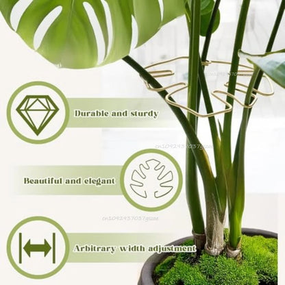 Plant Stand for Tall Houseplant Support Large Monstera Plant Stand Sturdy Climbing Stems Leaf Stabilizer Garden Plant Support