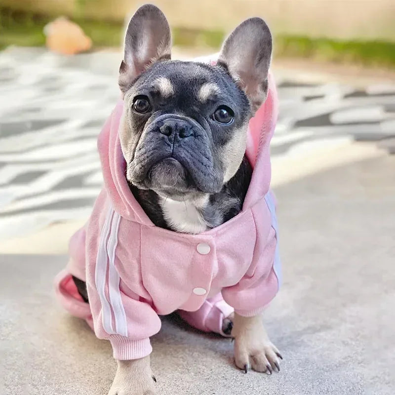 Warm Dog Jumpsuit Hoodie | Sport Sweatshirt Coat for Yorkie & French Bulldog | Small to Medium Pet Jacket