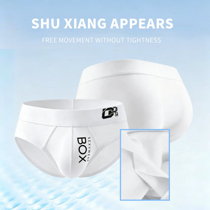 1/2Pcs High Quality Low Waist Sexy Mens Underwear Briefs Letter Print Men's Lingerie Cotton Men's Briefs Bikini Man Underpants