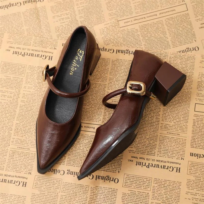 New Designer Vintage Pointed Toe Women Mary Jane Shoes Fashion Shallow Buckle Shoes Ladies Elegant Dress Thick Heel Shoes