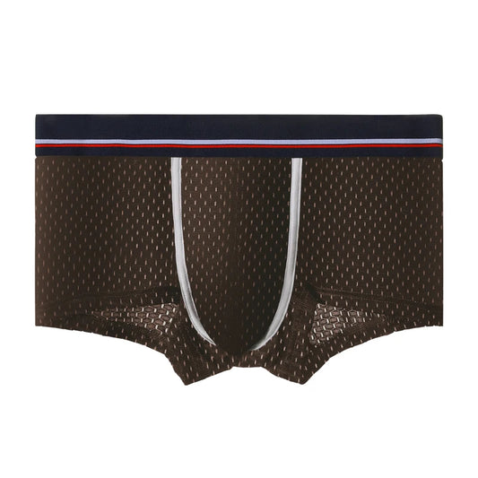 Men's Ice Silk Mesh Boxer Briefs, Summer Thin Breathable U-Convex Flat-Angle Shorts, Sexy Student Underwear