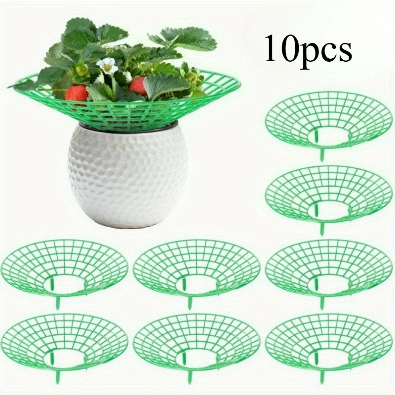5/10pcs Strawberry Plant Supports with Three Sturdy Legs Provide Protection for Strawberries Against Mold, Rot, and Dirt