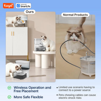 3L Timed Water Dispenser for Cats & Small Dogs, Automatic Pet Fountain, Wastewater Separation Fresh Water, No Filter No Tuya APP