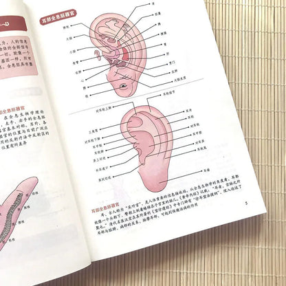 Hand Massage Therapy: Treat Common Ailments | Symptom-Based Techniques | Practical Home Wellness Guide Book