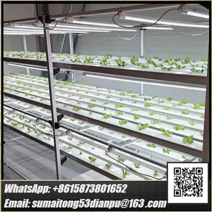 OEM Nft Hydroponics Nft Channel Growing System Kits Vertical Lettuce Strawberry Agricultural NFT Growing System Plant Vegetable