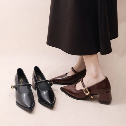 New Designer Vintage Pointed Toe Women Mary Jane Shoes Fashion Shallow Buckle Shoes Ladies Elegant Dress Thick Heel Shoes