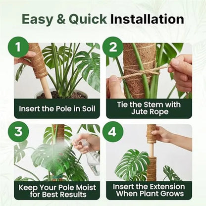 MOPHE-4-Piece Plant Stand Set - Plant Stumps For Indoor Climbing Plants - Coconut Shell Stumps And Rooftop, And Filodendrace
