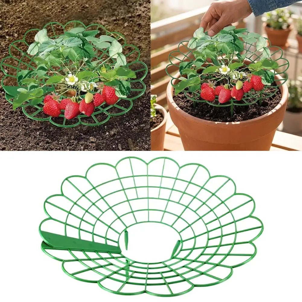 5/10pcs Strawberry Plant Supports with Three Sturdy Legs Provide Protection for Strawberries Against Mold, Rot, and Dirt