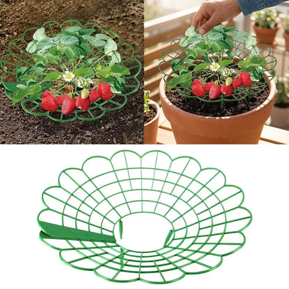 5/10pcs Strawberry Plant Supports with Three Sturdy Legs Provide Protection for Strawberries Against Mold, Rot, and Dirt