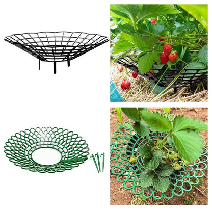 5pcs Green Strawberry Planting Racks, Watermelon Support Frames, 3-Legged Plant Protector, Easy Assembly Plant Accessories