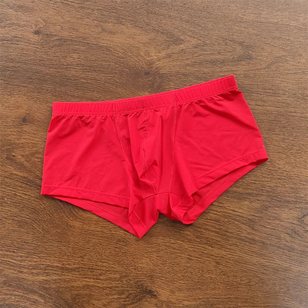 Man Underwear Men's Ice Silk Boxer Shorts Cool Underpants Summer Sexy Thin Panties U Pouch Lingerie Wholesale Price M-XXL