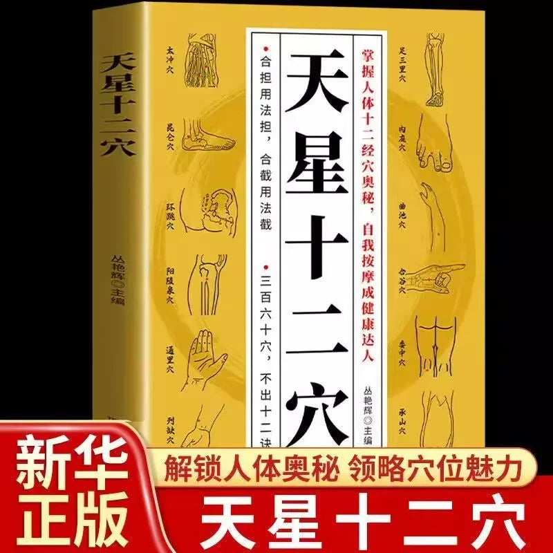 Tianxing Twelve Points Meridian Acupoint Map of The Whole Body of The Human Body