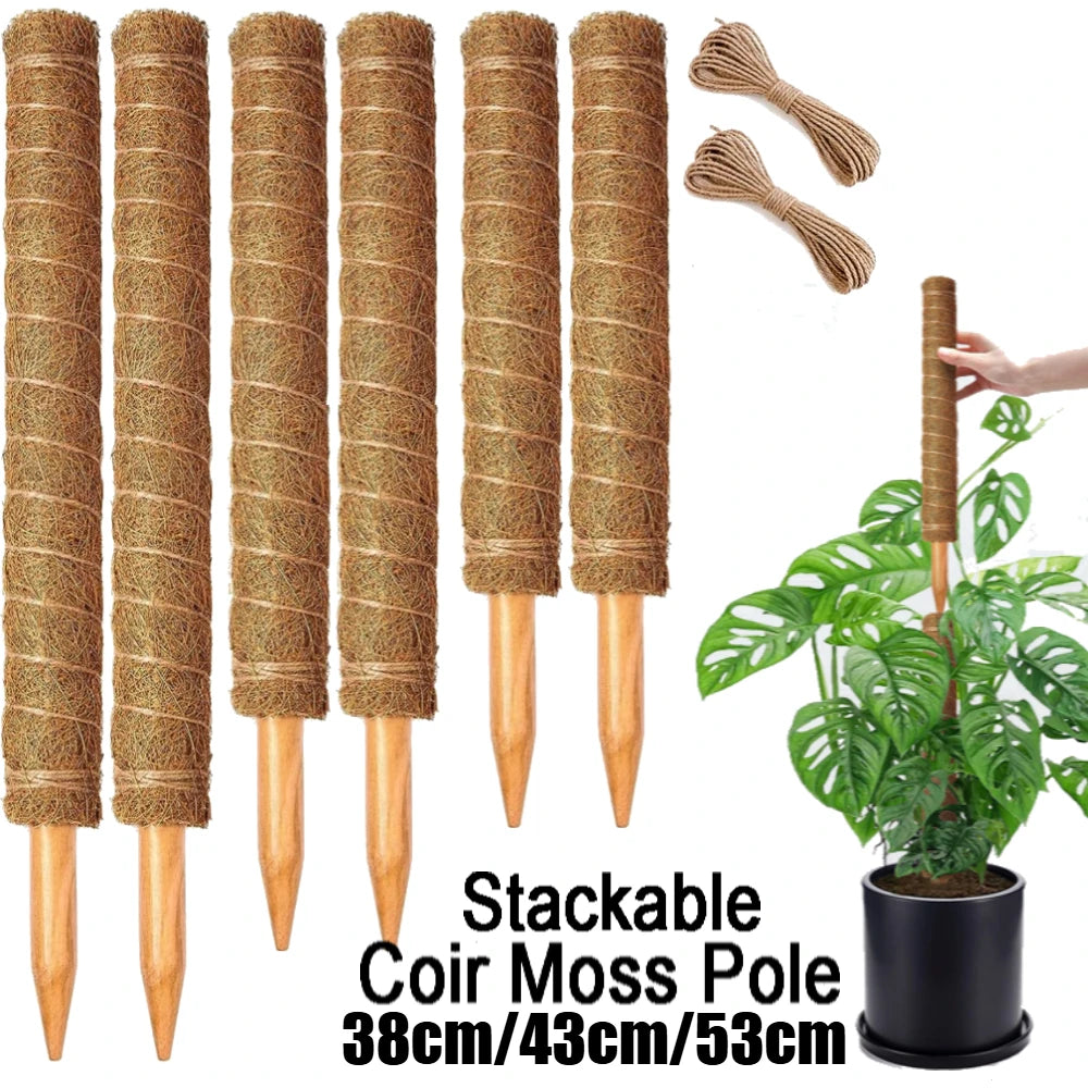 4 /8 Pack Stackable Moss Pole for Plants Monstera Tall Rod for Indoor Outdoor Climbing Plant Support Stakes for Potted Plants