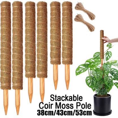 4 /8 Pack Stackable Moss Pole for Plants Monstera Tall Rod for Indoor Outdoor Climbing Plant Support Stakes for Potted Plants