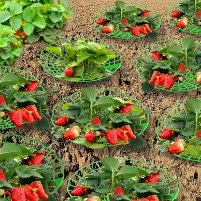 10/20pcs Green Strawberry Planting Racks, Watermelon Support Frames, 3-Legged Plant Protector, Easy Assembly plant accessories