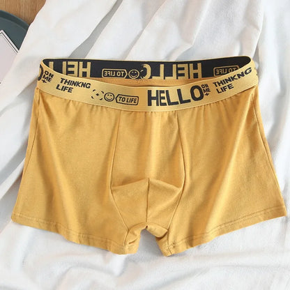 10PCS Mens Underwear Male Boxers Sexy Underpants Comfortable Breathable Fashion Boys Panties Underwear Boxershorts Men