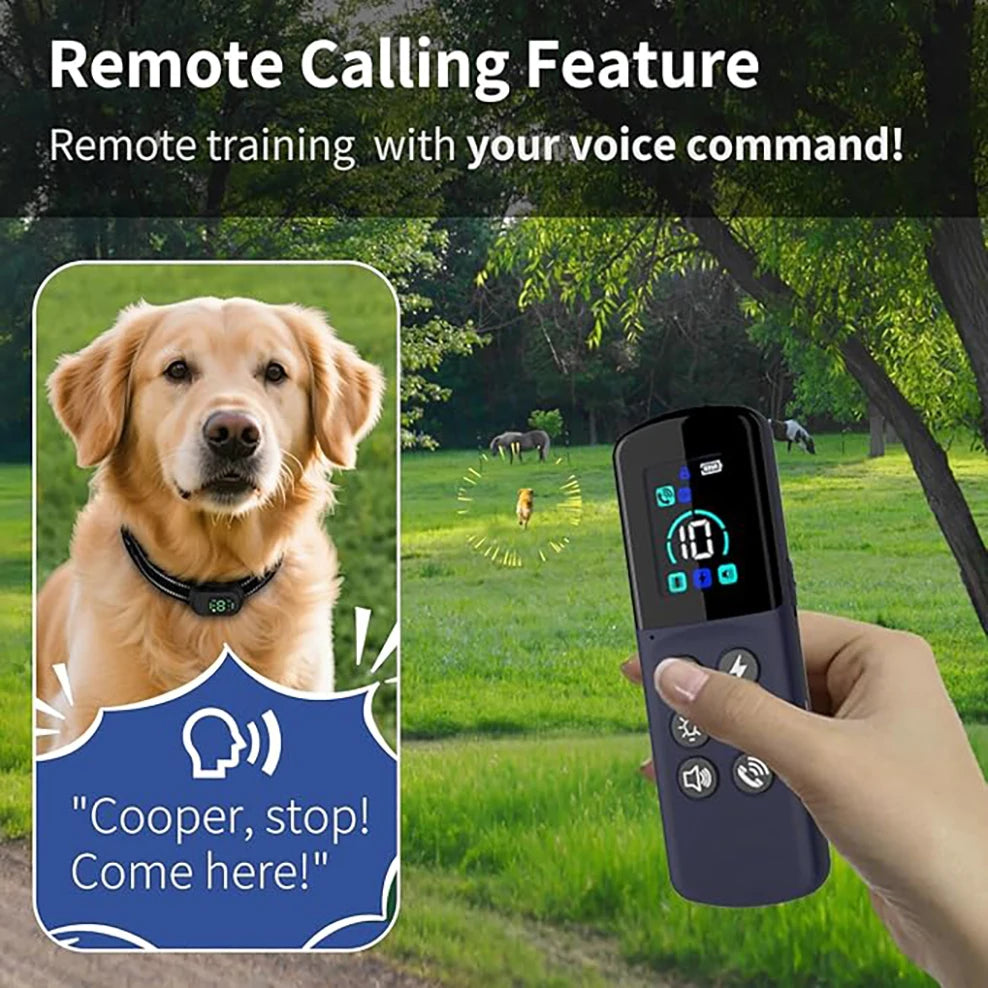 4 Working Modes Dog Training Collar（0-10 Levels）, 4900FT Remote Control, IP67 Waterproof  Rechargeable Collar for All Size Dogs