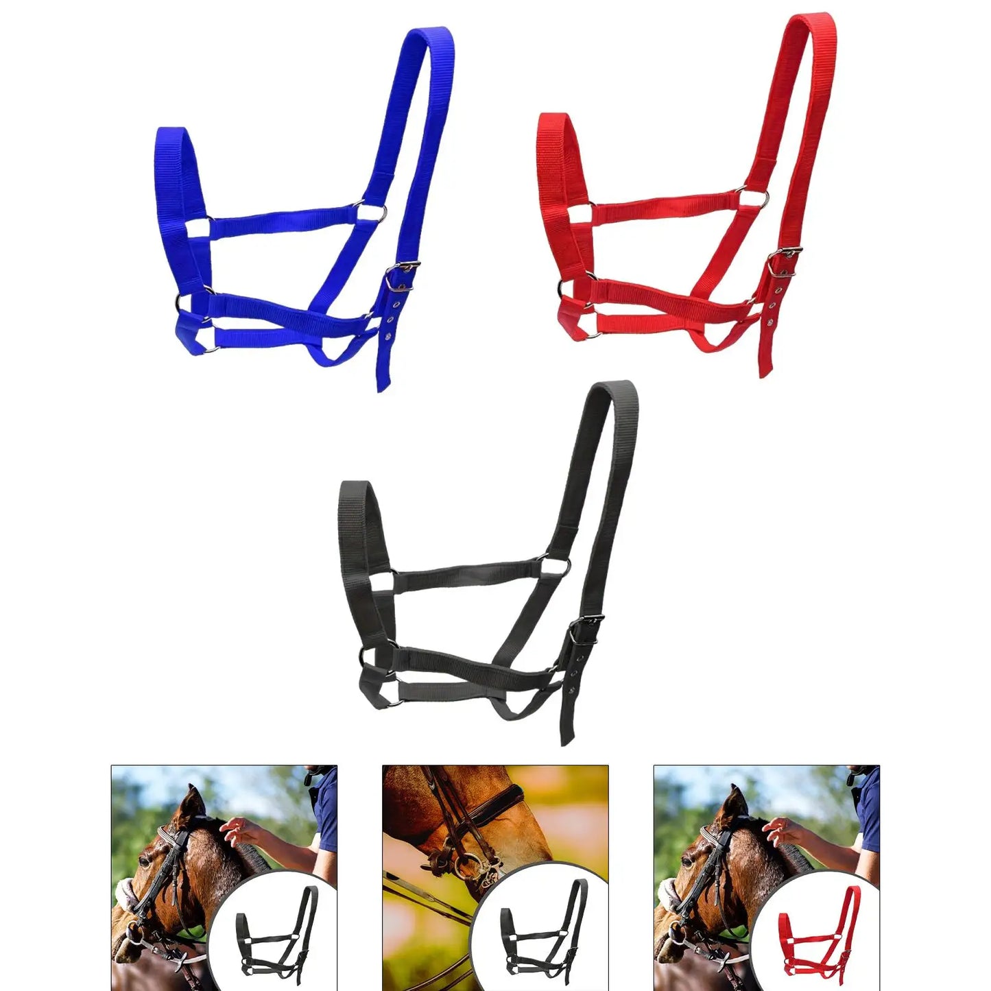 Strong PP Webbing Horse Halter Adjustable Padded Training Rope Harness Tack for Horse Riding and Groundwork