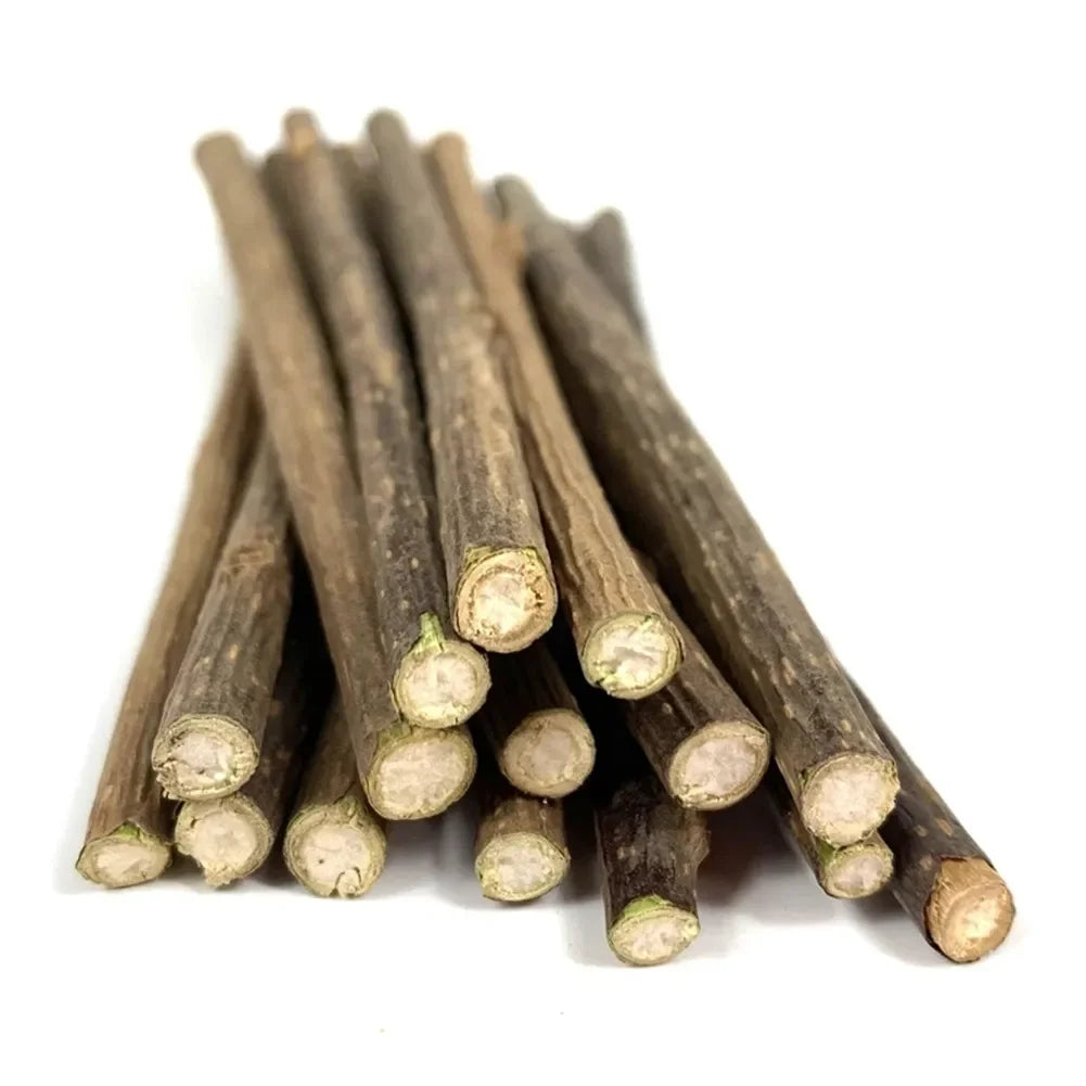 15pcs Natural Matatabi Cat Catnip Toy Kitten Molar Chew Stick Pet Cleaning Teeth Cat Treat Toy Actinidia Silvervine Pet Products