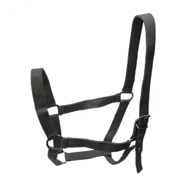 Strong PP Webbing Horse Halter Adjustable Padded Training Rope Harness Tack for Horse Riding and Groundwork