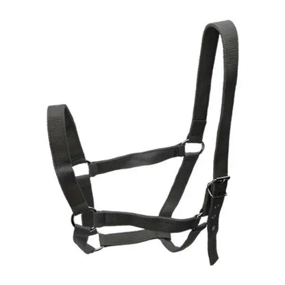 Strong PP Webbing Horse Halter Adjustable Padded Training Rope Harness Tack for Horse Riding and Groundwork