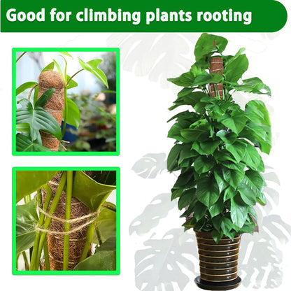 4 /8 Pack Stackable Moss Pole for Plants Monstera Tall Rod for Indoor Outdoor Climbing Plant Support Stakes for Potted Plants