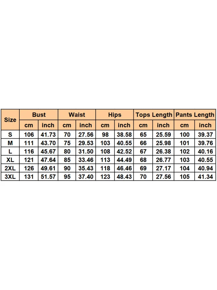 2 Pieces Women's Sets 2026 Spring Autumn Pullover Suit Long Sleeve Tops And Pants Suits Two Piece Set Tracksuit Outfit